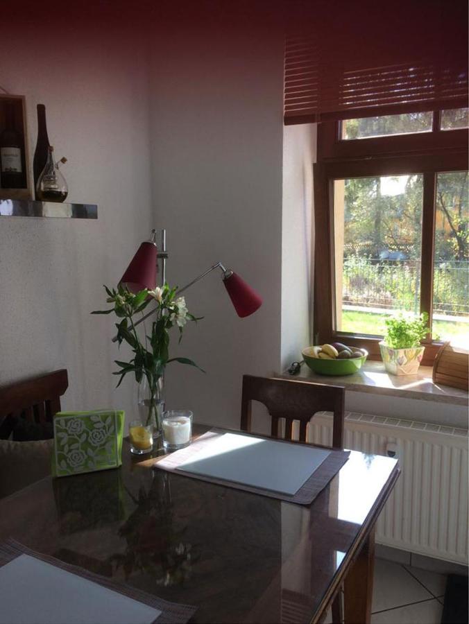 Auf Der Zschopau-Insel Apartment Ngoại thất bức ảnh